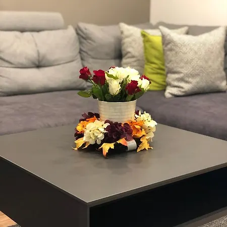 Apartament Sinsheim Unterkunft *