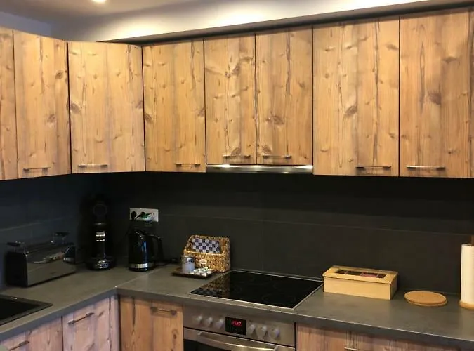 Sinsheim Unterkunft Apartman *