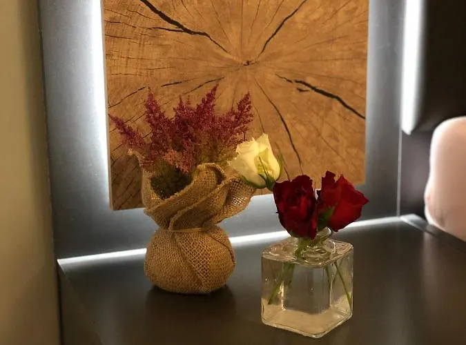 Apartman Sinsheim Unterkunft